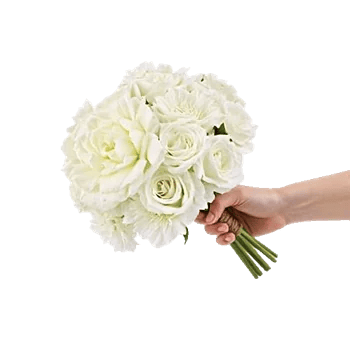 Ivory Garden Grace