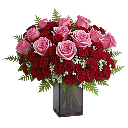 Glistening Rose Garden