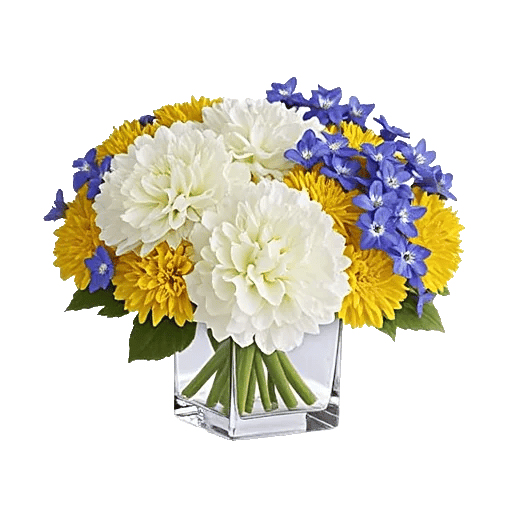 Radiant Bloom Cascade