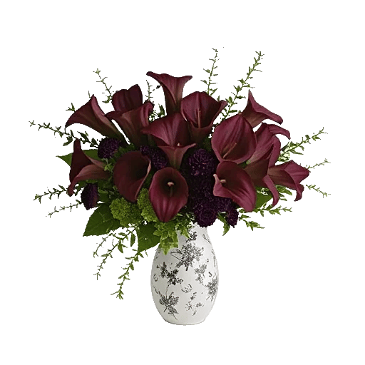 Elegant Calla Lilies