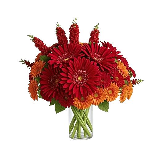 Crimson Blossom Harmony