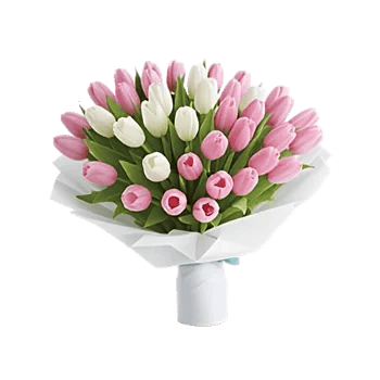 Velvet Tulip Display