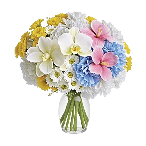 Ivory Blossom Radiance