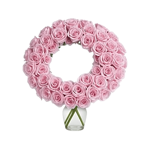 Blushing Rose Symphony