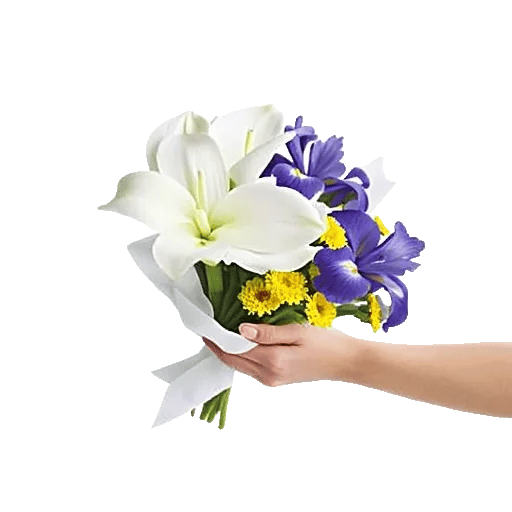 Elegant Calla Lilies