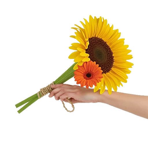 Amber Sunflower Glow