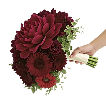 Delicate Petal Cascade