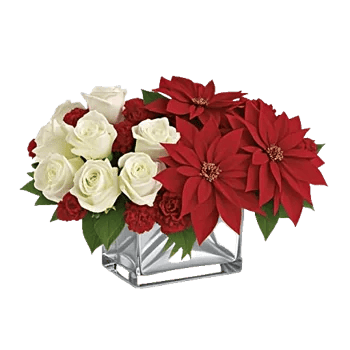 Delicate Petal Cascade