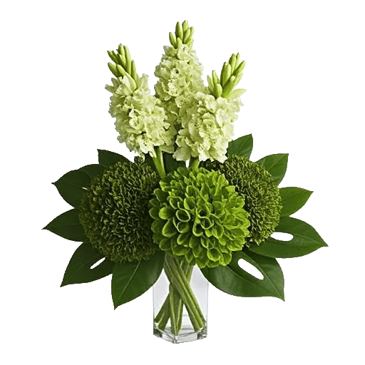 Lush Greenery Harmony