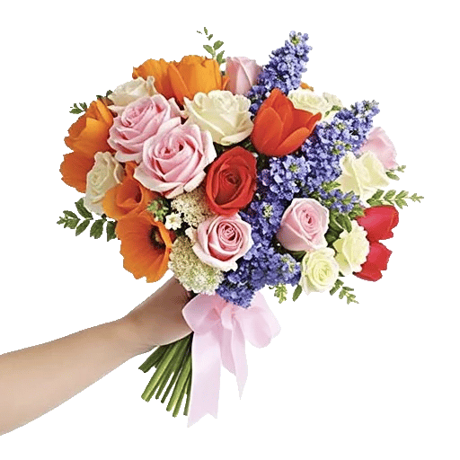 Blushing Rose Symphony