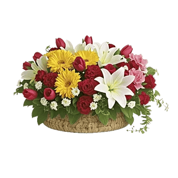 Delicate Petal Cascade