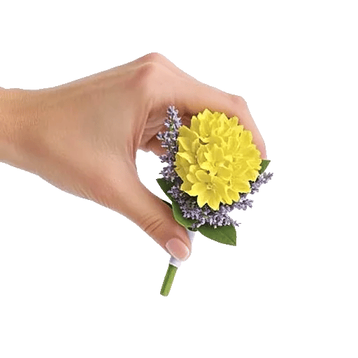 Blossom Harmony Display