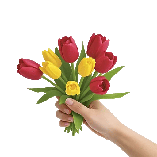 Scarlet Tulip Splendor