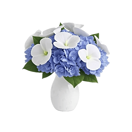 Minimalist White Orchids