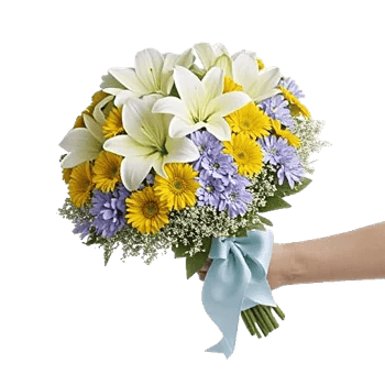 Blossom Petal Serenity