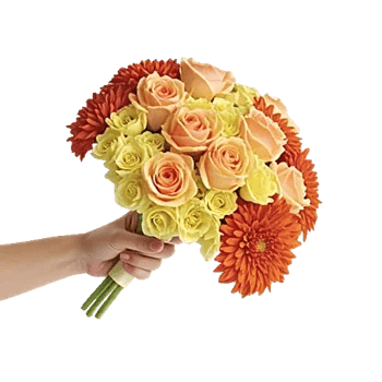 Petal Harmony Bliss