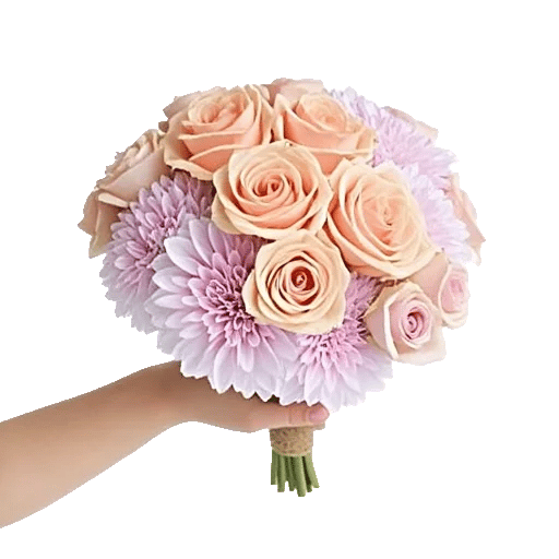 Pastel Pink Roses