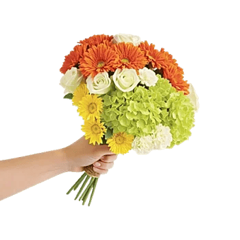 Petal Harmony Bliss