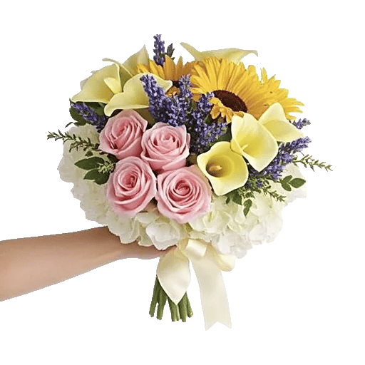 Blushing Rose Symphony