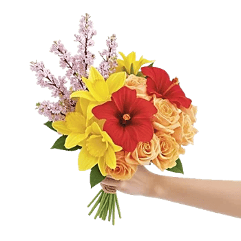 Blossom Harmony Display