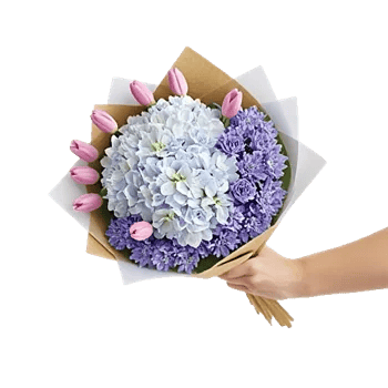 Serene Petal Harmony