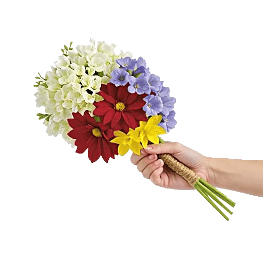 Blossom Harmony Display