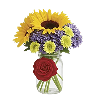 Bright Cheerful Sunflowers