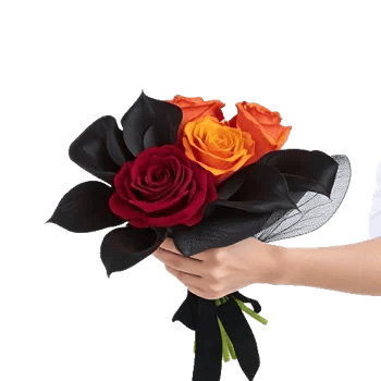 Crimson Rose Elegance