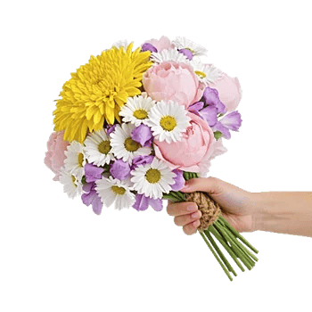 Blossom Harmony Display