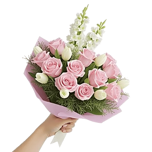 Pastel Pink Roses