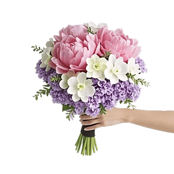 Peony Petal Harmony