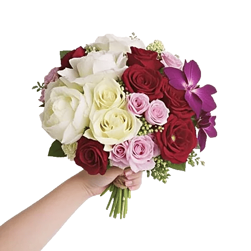 Petal Grace Harmony