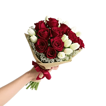 Crimson Rose Elegance