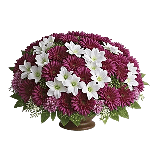 Regal Burgundy Display