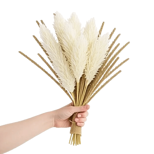 Delicate Petal Cascade