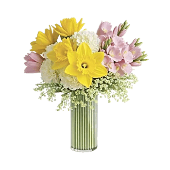 Ivory Blossom Radiance