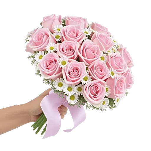 Pink Pastel Roses