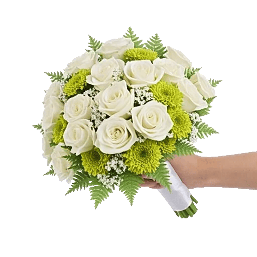 Blushing Rose Symphony