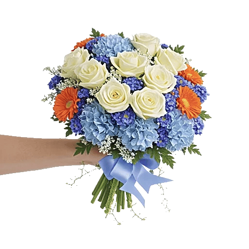 Serene Petal Harmony