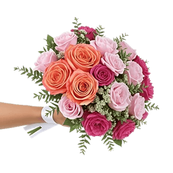 Pastel Pink Roses