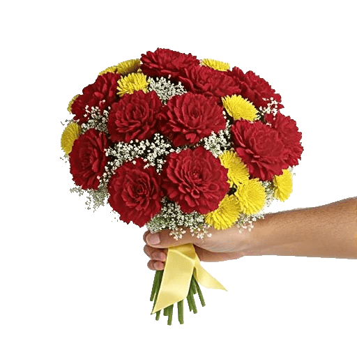 Crimson Rose Elegance