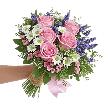 Blushing Rose Symphony