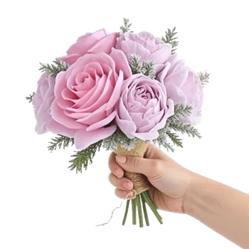 Pastel Pink Roses