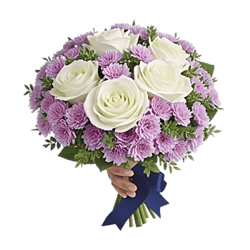 Blushing Rose Symphony