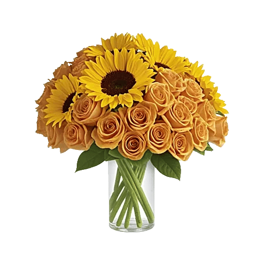 Golden Petal Harmony