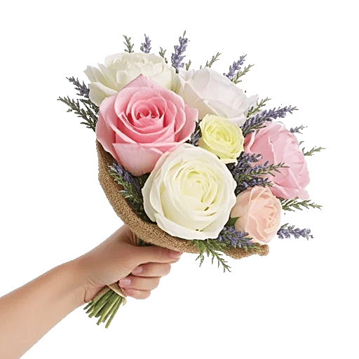 Pink Pastel Roses