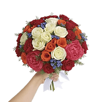 Blushing Rose Symphony