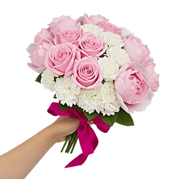 Pastel Pink Roses