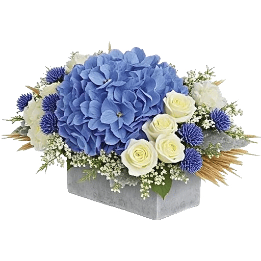 Sapphire Bloom Whisper