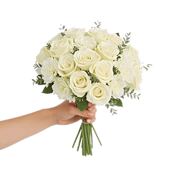 Ivory Garden Grace